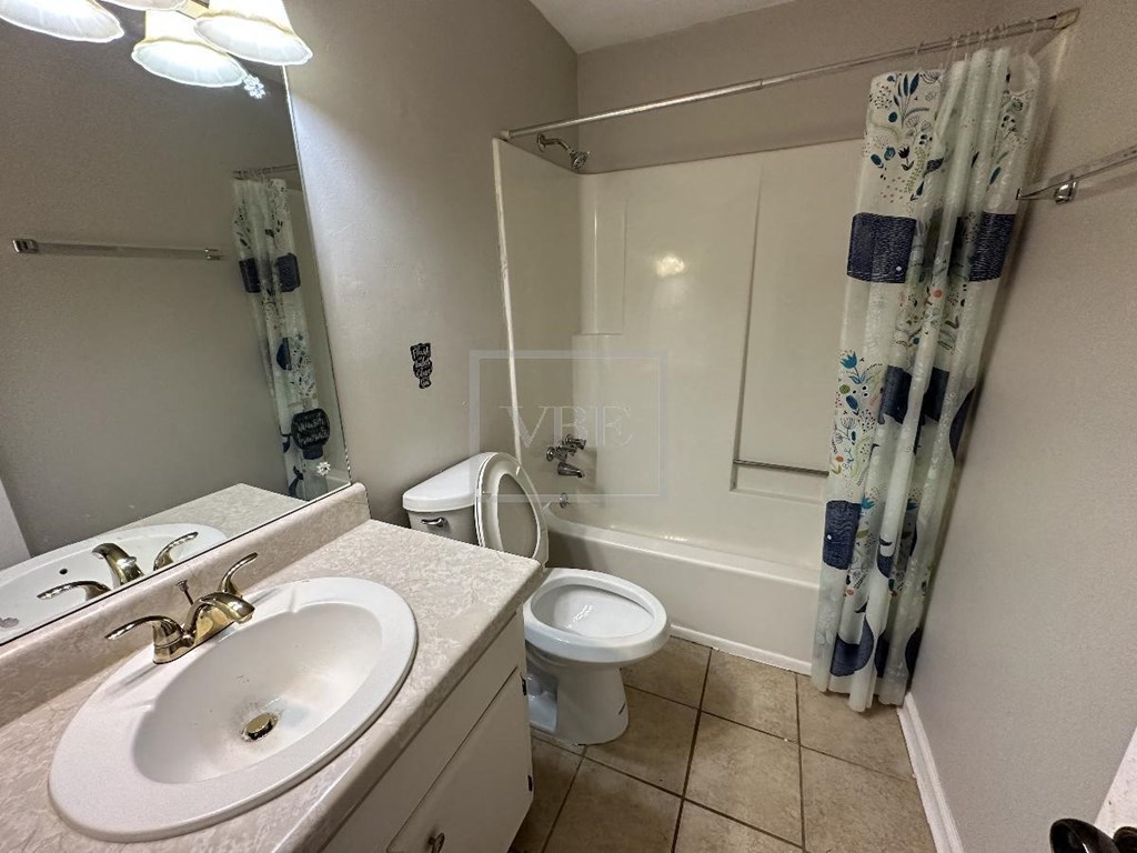 a bathroom with a sink and a toilet and a shower