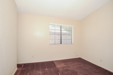 A room with a window covered by blinds and a carpet on the floor.