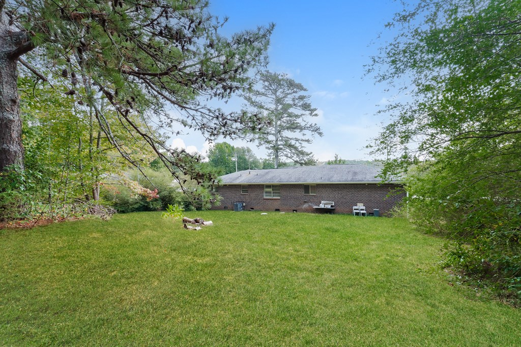 A backyard with a lawn and a shed.
