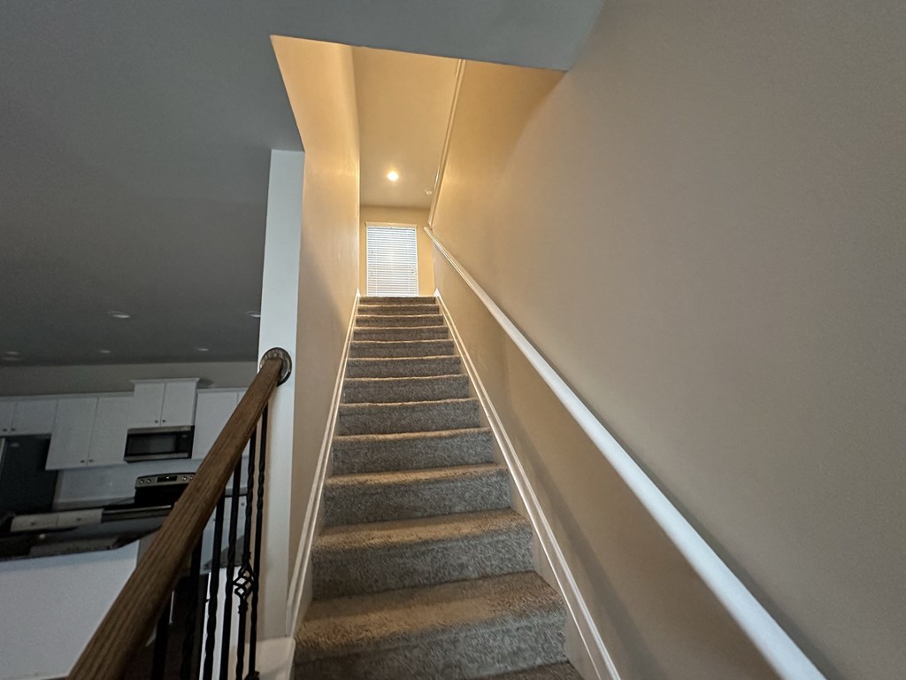 a staircase with carpeted stairs with a railing and a window on the top