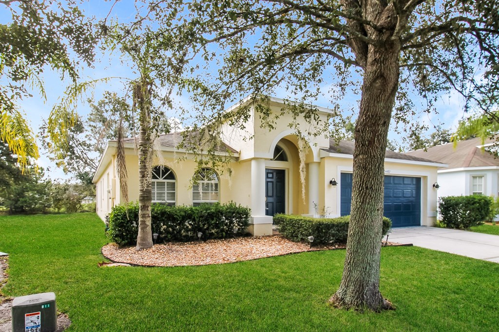 A yellow house with a tree in front.