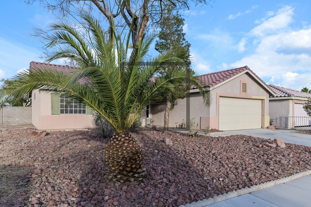A house with a palm tree in front.