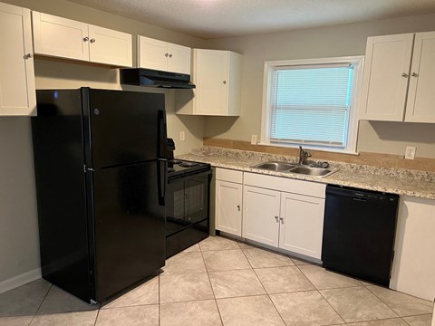 a kitchen with a black refrigerator and a sink
