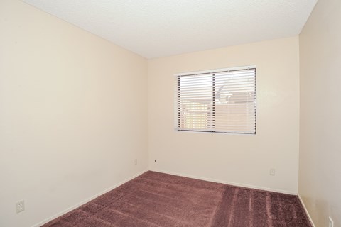 A room with a window and a carpet on the floor.