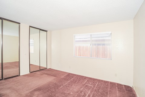 A room with a pink carpet and a window with blinds.
