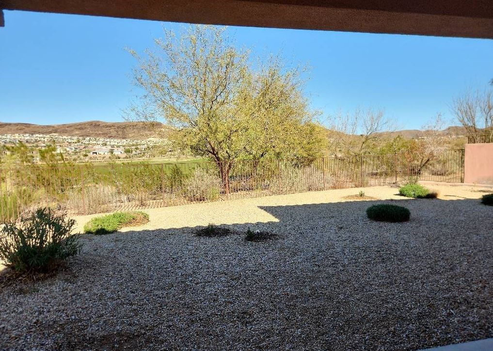 an empty yard with a tree and a gravel driveway