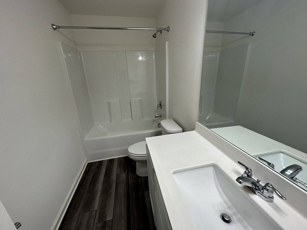 a bathroom with a sink and a toilet and a bath tub