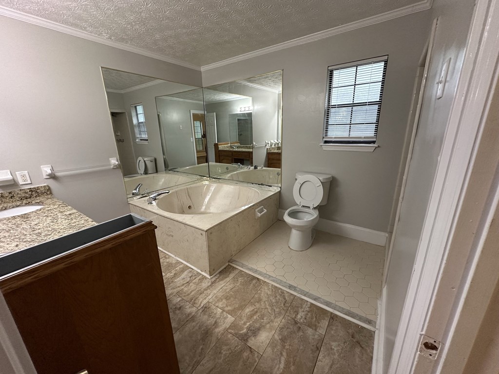 a bathroom with a tub and a toilet and a mirror