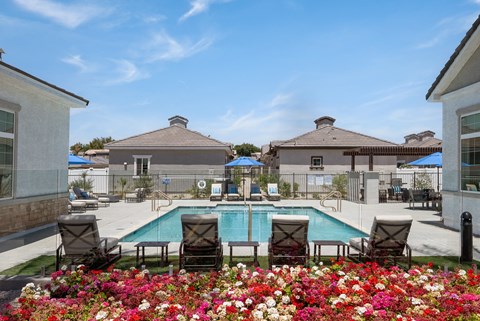 a swimming pool surrounded by chairs and colorful flowers