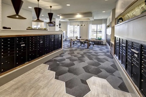 A modern kitchen with black cabinets and a grey hexagonal rug.