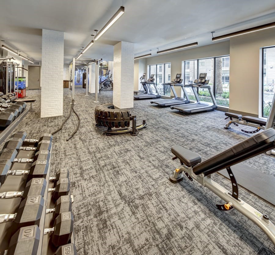 A gym with treadmills, weights, and exercise equipment at Arise Riverside Apartments, Austin, TX, 78741