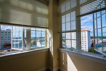 905 Window View - Photo Gallery 4
