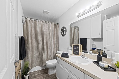 a bathroom with a shower and a sink and a toilet