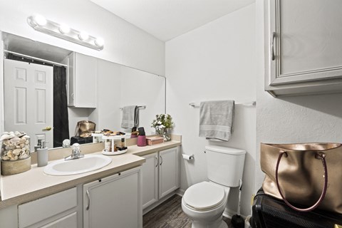 a bathroom with a sink and a toilet and a mirror