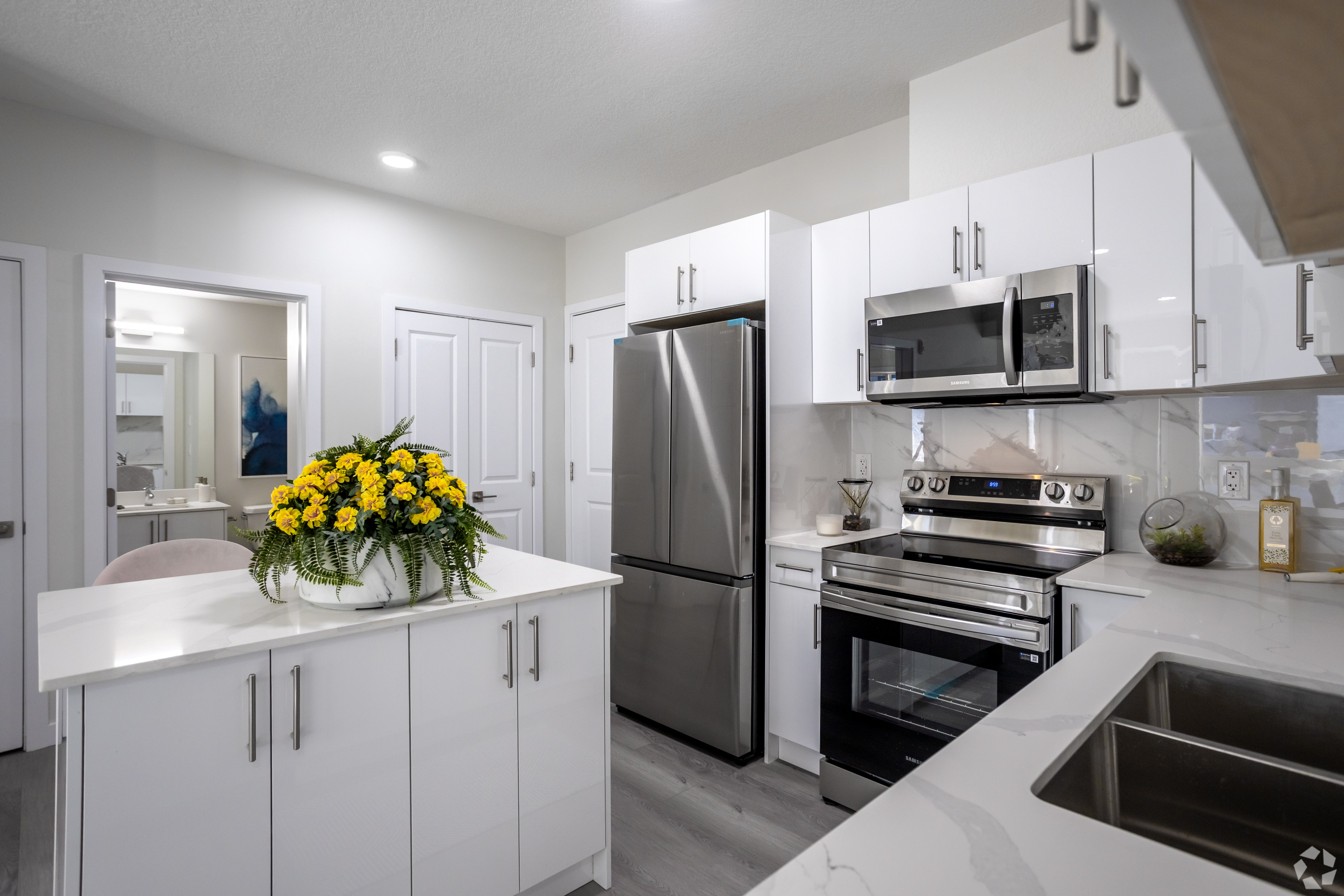 2 bedroom apartment - Hills on 36, Edmonton - unit 520 2