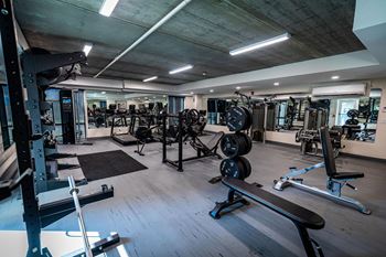 a gym with weights and other exercise equipment