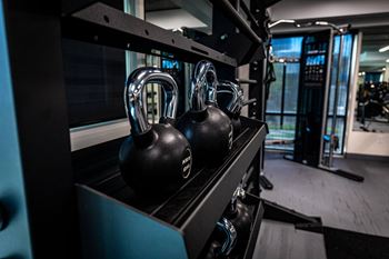 two black dumbbells on a rack in a gym