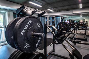 a row of dumbbells in a gym