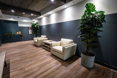 A living room with a white couch and a potted plant.