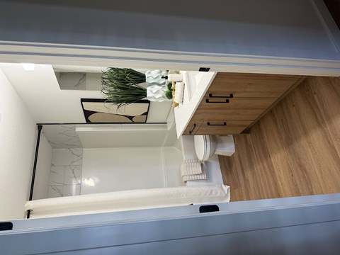 A bathroom with a toilet, sink, and a plant.