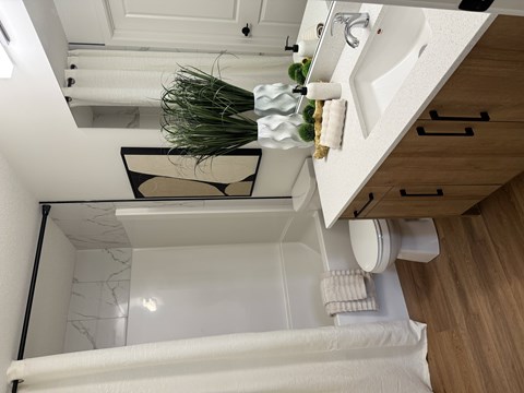 A white sink with a plant on the counter.