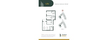 A floor plan for a property named Lily shows three bedrooms, two bathrooms, and a total area of 1,305 square feet.