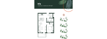 A floor plan for a property named Iris, which is 593 square feet, is displayed.