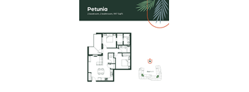 A floor plan of a Petunia apartment with 2 bedrooms and 2 bathrooms.