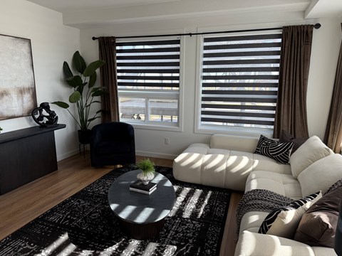 A living room with a white couch and a black and white rug.