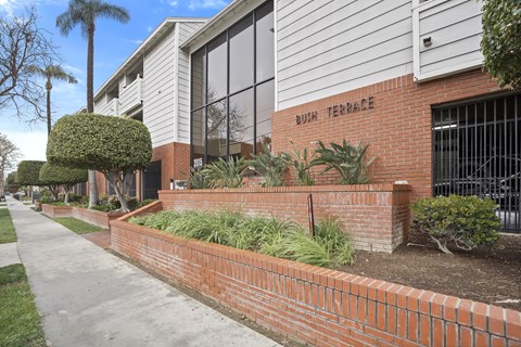 Bush Terrace is a residential building with a brick wall and green plants.