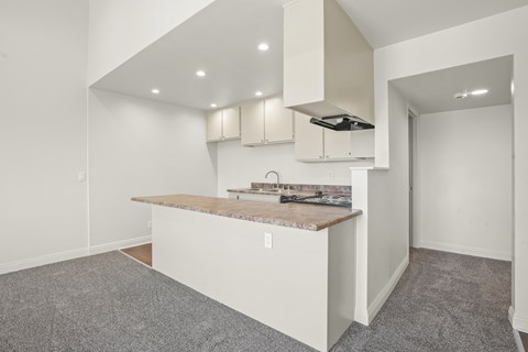 A kitchen area with a counter and cabinets.