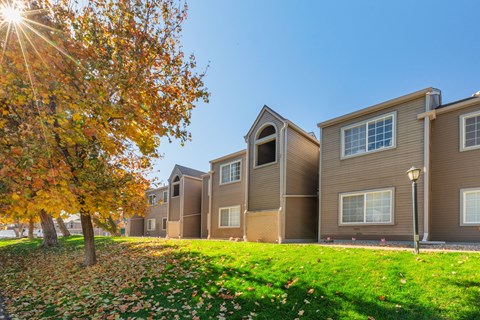 A row of houses with a tree in the foreground.