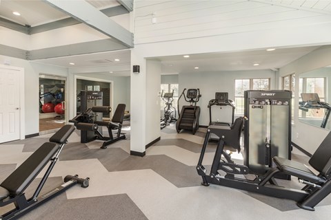 A gym with a variety of equipment including treadmills, stationary bikes, and weight machines.