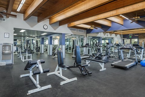 A gym with a variety of equipment including weights and benches.