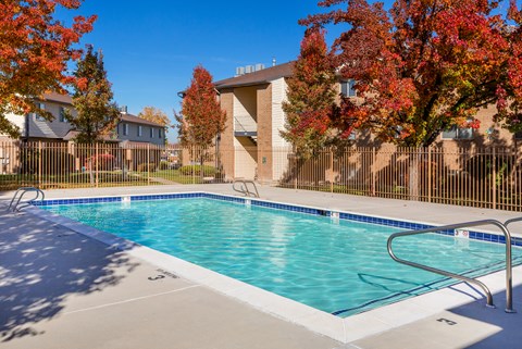 A small pool surrounded by a fence with trees in the background.