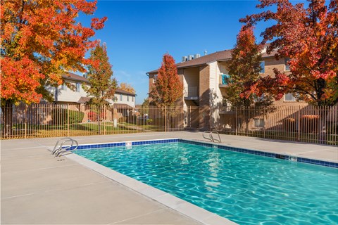 A swimming pool surrounded by trees with autumn leaves.