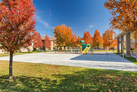 A playground with a yellow slide surrounded by trees with red and orange leaves.