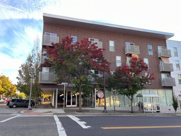 A building with a red tree in front of it.