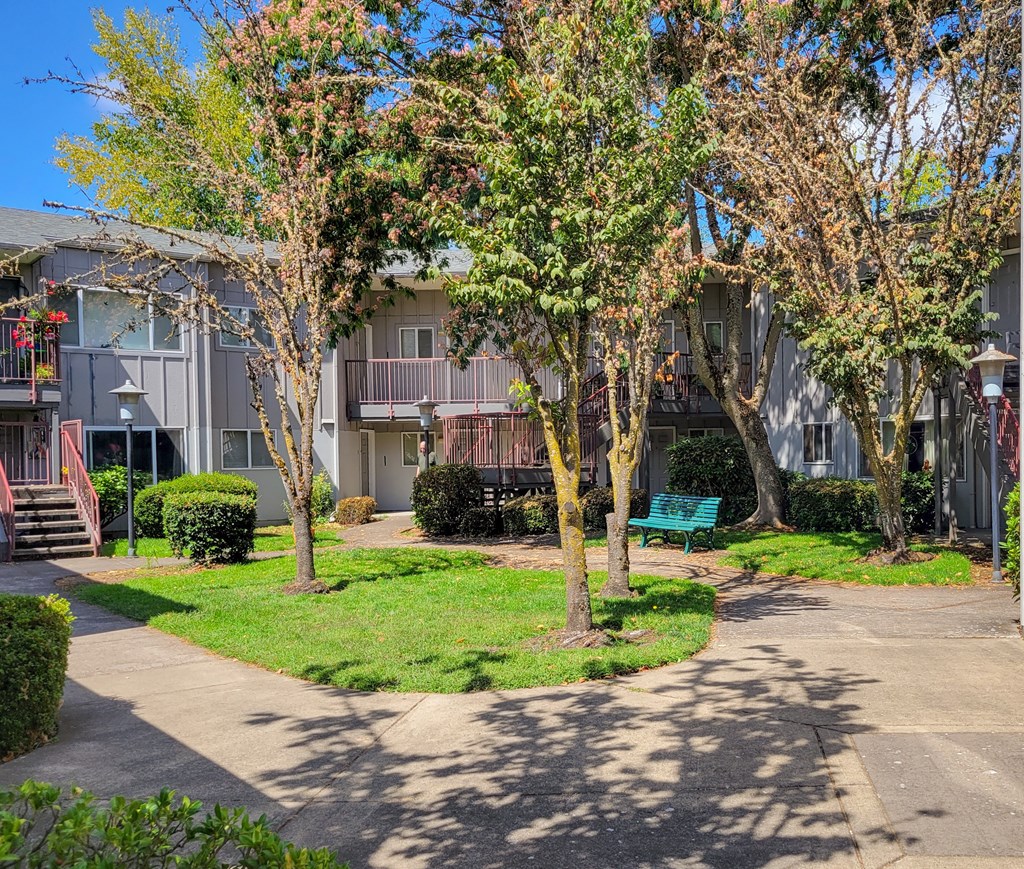 our apartments have a courtyard with trees and a bench