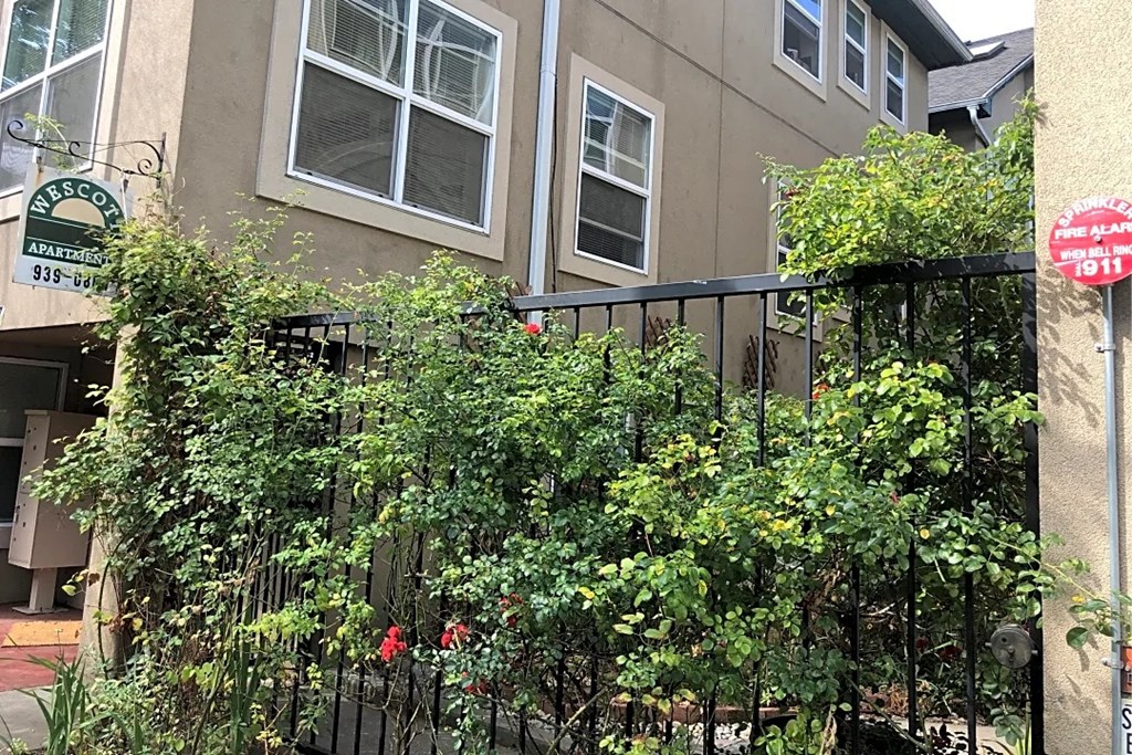 a gate with bushes coming through