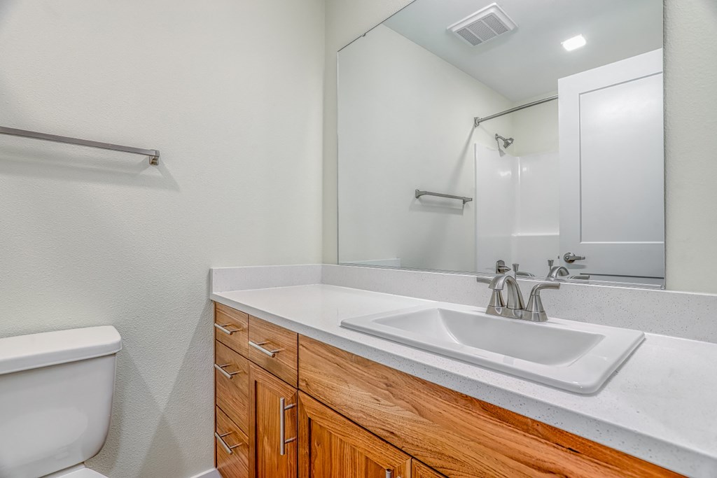 a bathroom with a sink and a toilet