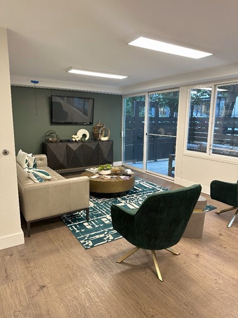 A living room with a green rug and a black chair.