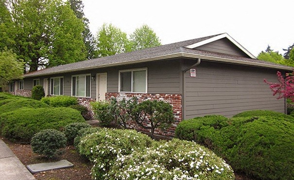 a house with a garden in front of it