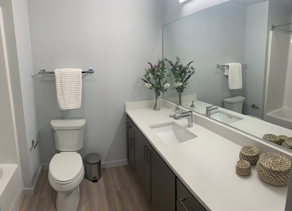 a bathroom with a sink and a toilet and a mirror