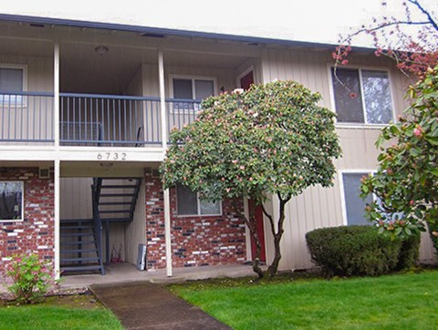 A tree with green leaves is in front of a building with a red door.