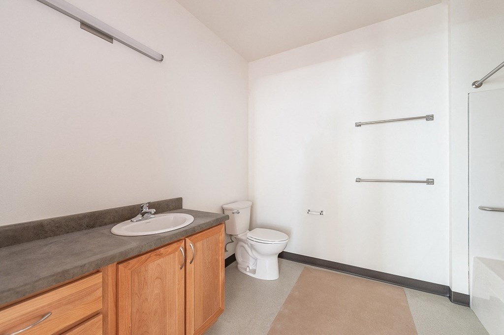 a bathroom with a sink and a toilet and a shower