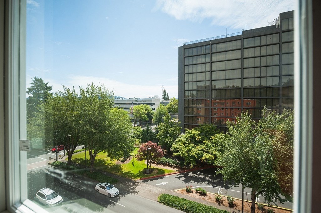 a view from a window of a city park and buildings