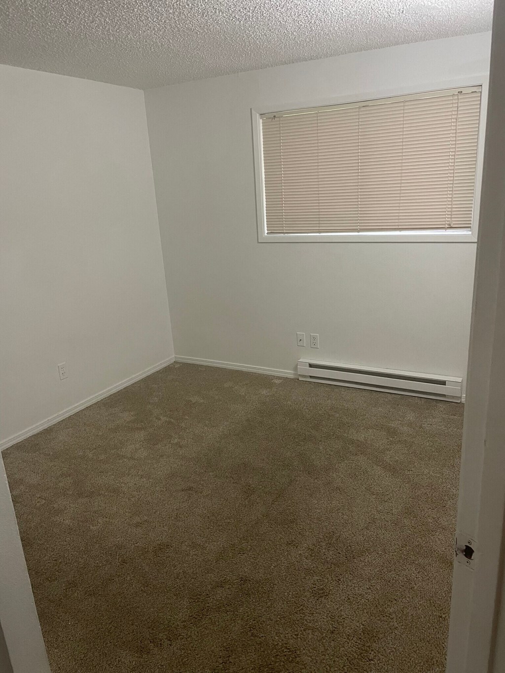 an empty room with a window and carpet
