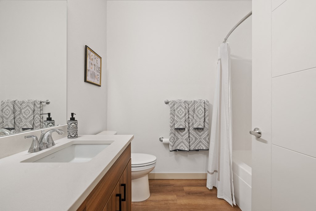 a bathroom with a sink and a toilet and a shower