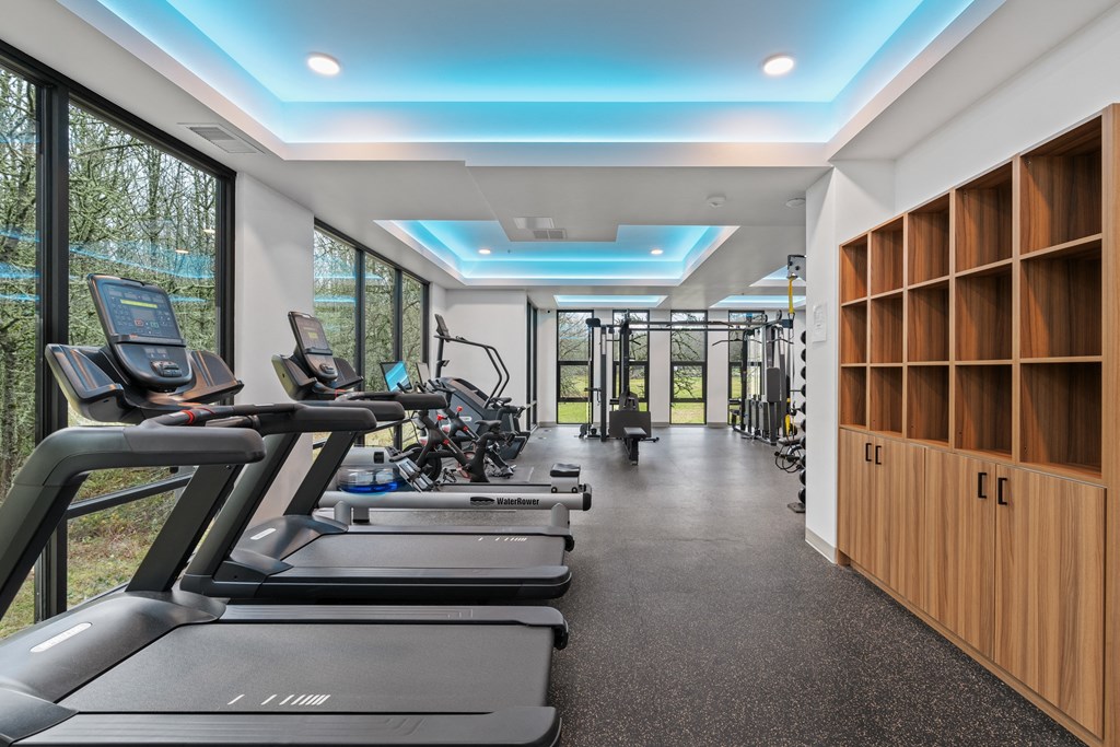 a gym with treadmills and other fitness equipment and windows